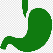 GASTROENTERÓLOGO